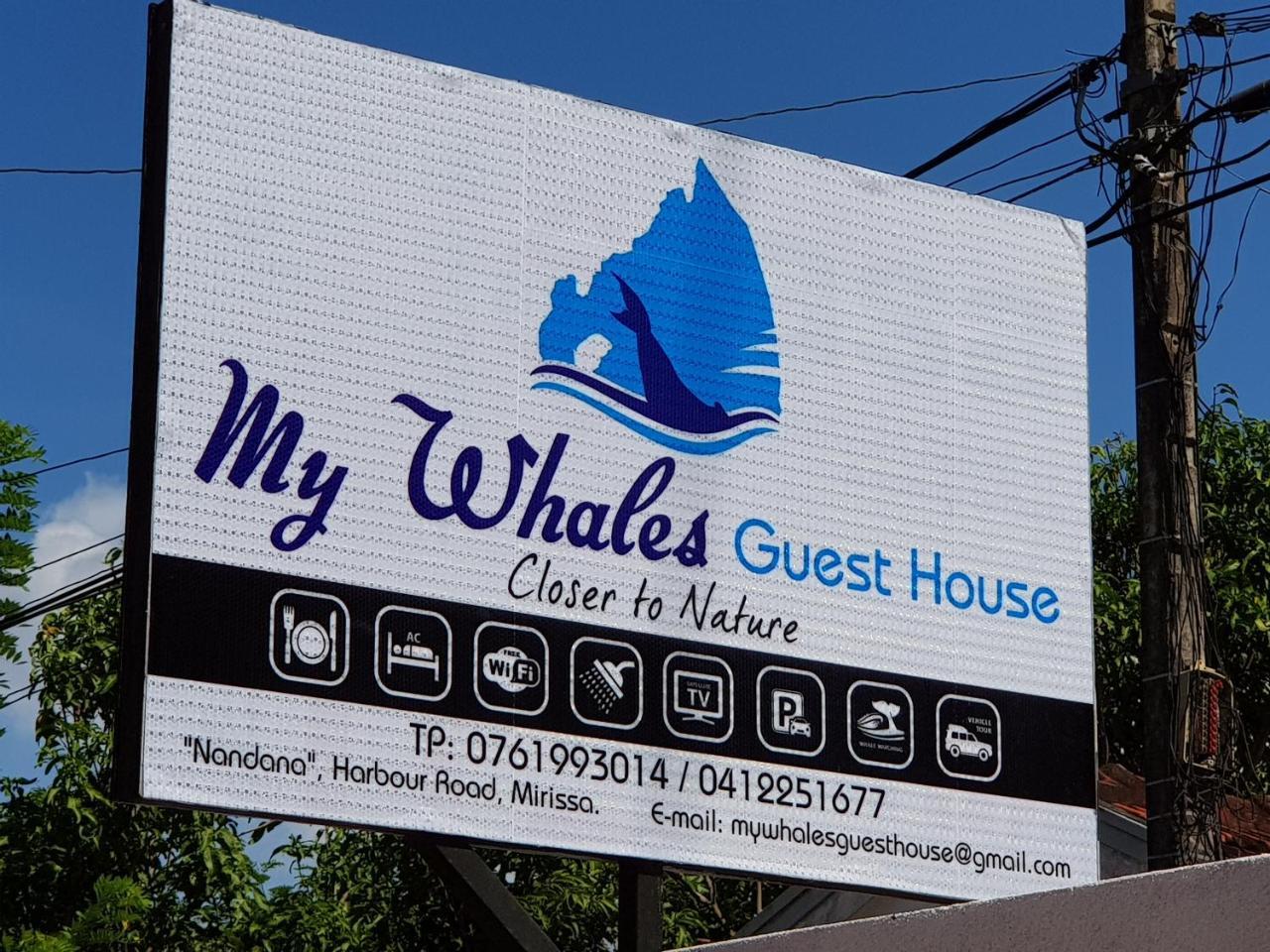 My Whales Guest House Banduramulla Extérieur photo