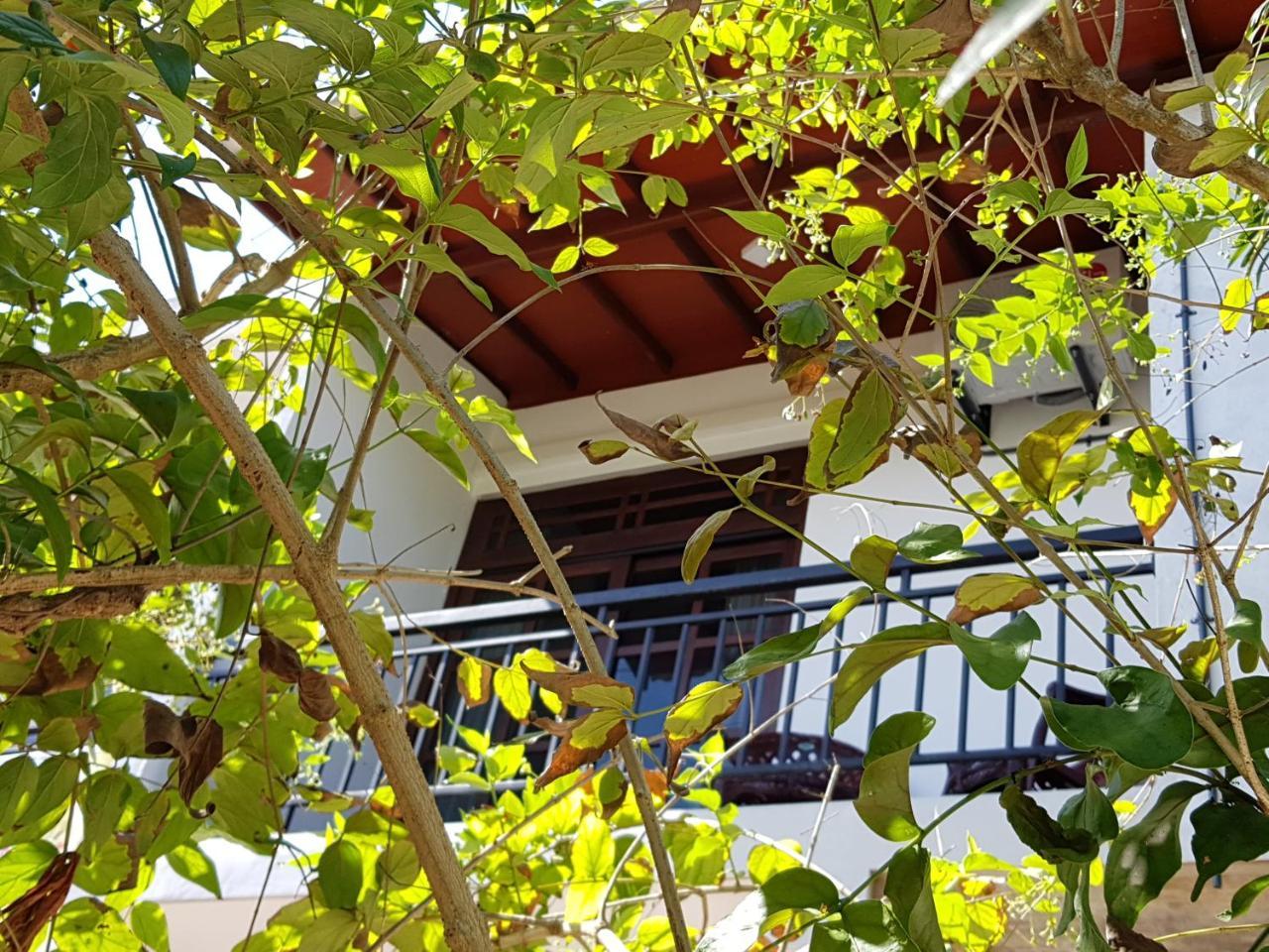 My Whales Guest House Banduramulla Extérieur photo